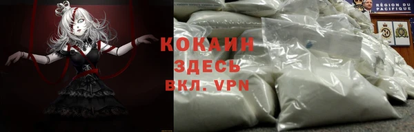 ГАЛЛЮЦИНОГЕННЫЕ ГРИБЫ Бронницы