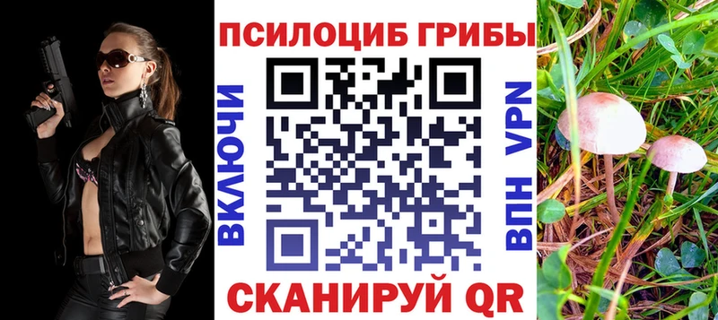 что такое наркотик Люберцы Псилоцибиновые грибы MAGIC MUSHROOMS